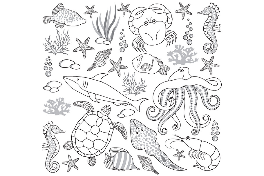 Sea Life in Illustrations - product preview 8