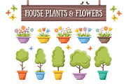 House Plants & Flowers