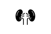 Kidney black icon, vector sign on
