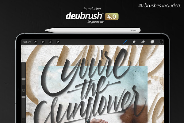 DevBrush™ 4.0 for Procreate