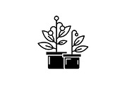 Potted house plants black icon