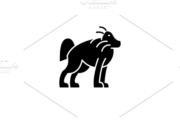 Orangutan black icon, vector sign on