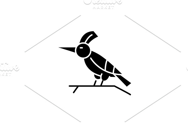Woodpecker black icon, vector sign