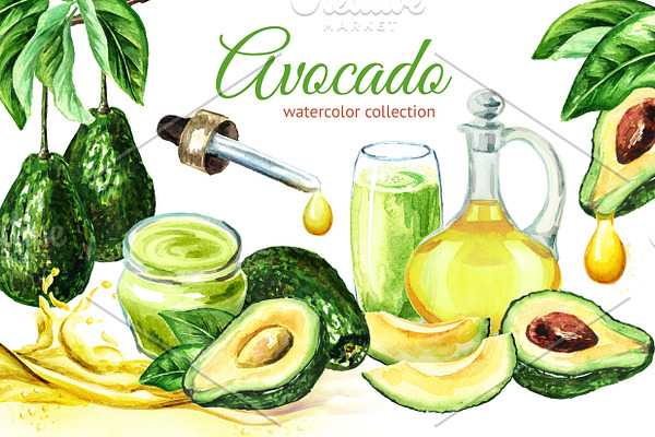 Avocado. Watercolor collection