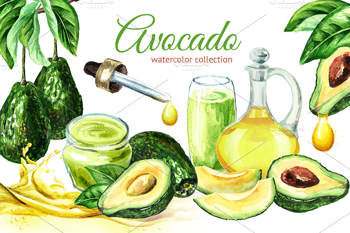 Avocado. Watercolor collection in Illustrations - product preview 8
