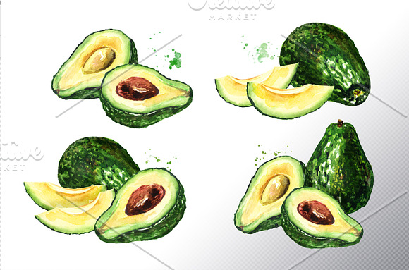 Avocado. Watercolor collection in Illustrations - product preview 1