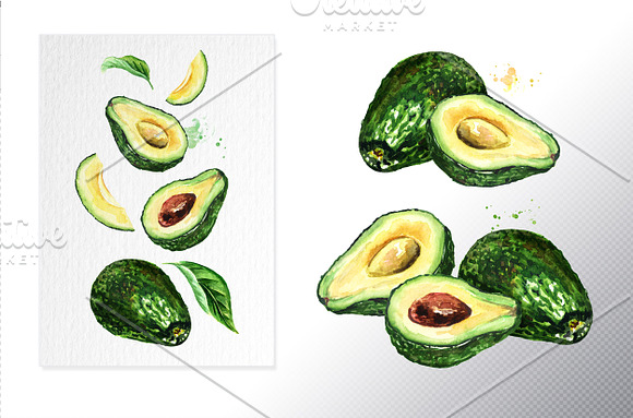 Avocado. Watercolor collection in Illustrations - product preview 3