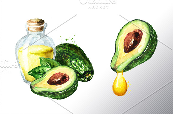 Avocado. Watercolor collection in Illustrations - product preview 5