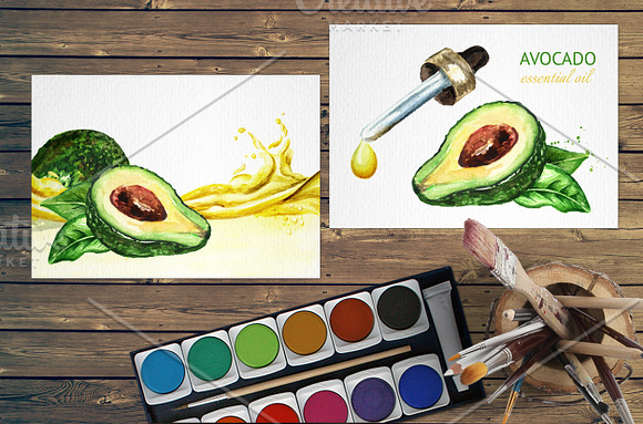 Avocado. Watercolor collection in Illustrations - product preview 6