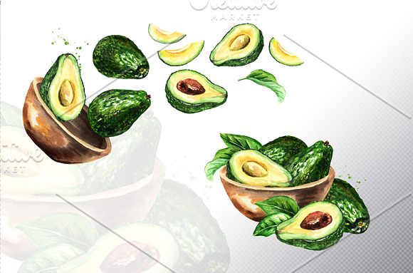 Avocado. Watercolor collection in Illustrations - product preview 7
