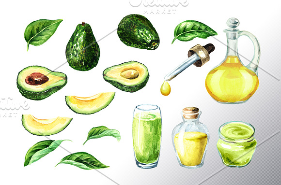 Avocado. Watercolor collection in Illustrations - product preview 8