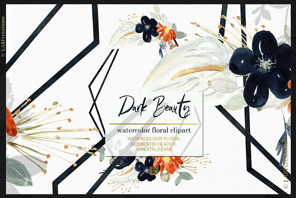 Dark Beauty. Watercolor flowers in Illustrations - product preview 2