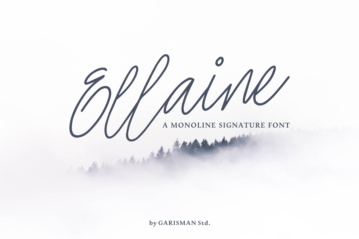 Ellaine Monoline Signature Font in Script Fonts - product preview 8