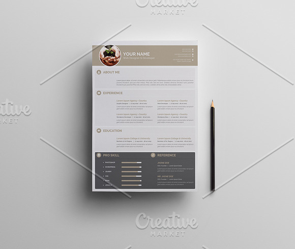 Clean Resume in Resume Templates - product preview 1