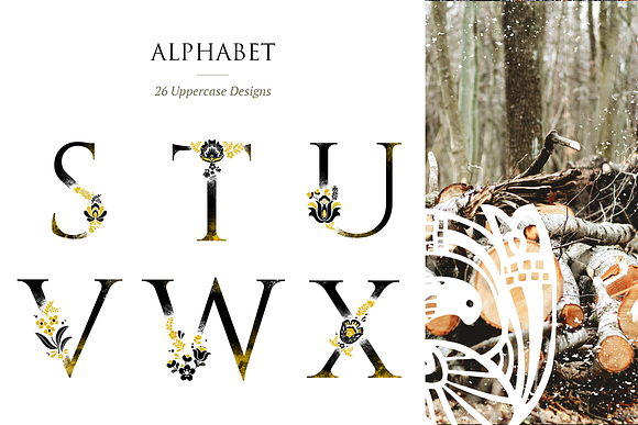 Winter Folk Alphabet and Graphics in Illustrations - product preview 4