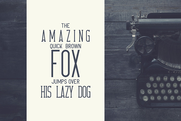 Crossroad -Vintage typeface|16 fonts in Slab Serif Fonts - product preview 2