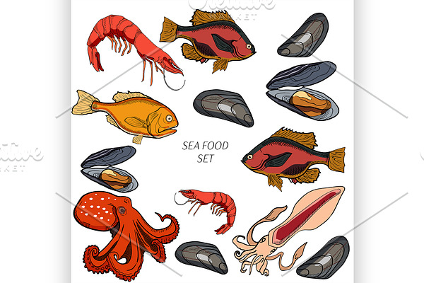 Set of colored sea food products