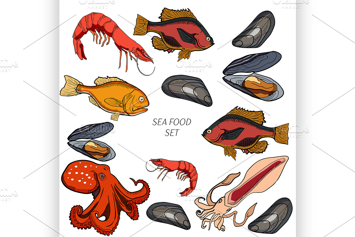 Set of colored sea food products in Illustrations - product preview 8