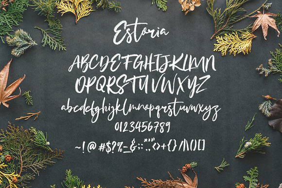 Estoria Script - SVG Font in Script Fonts - product preview 4