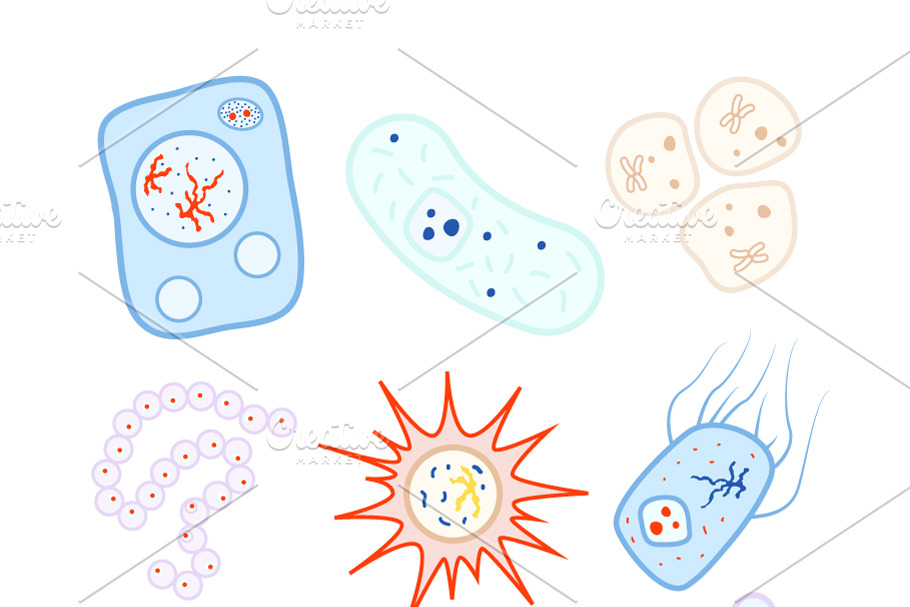 Colorful biology cells and bacterias