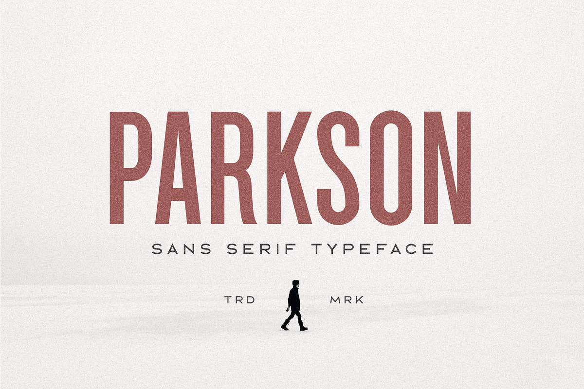 Parkson Sans Serif - 18 Fonts in Sans-Serif Fonts - product preview 8