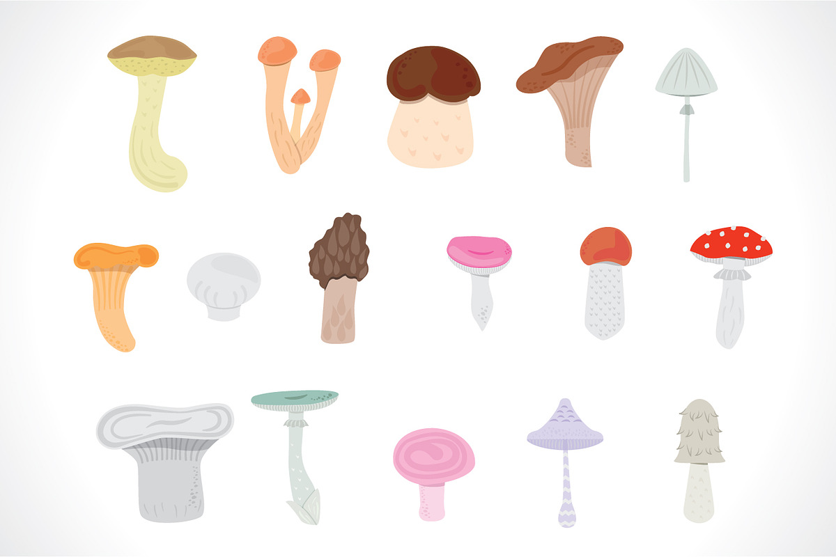 mushrooms in Illustrations - product preview 8