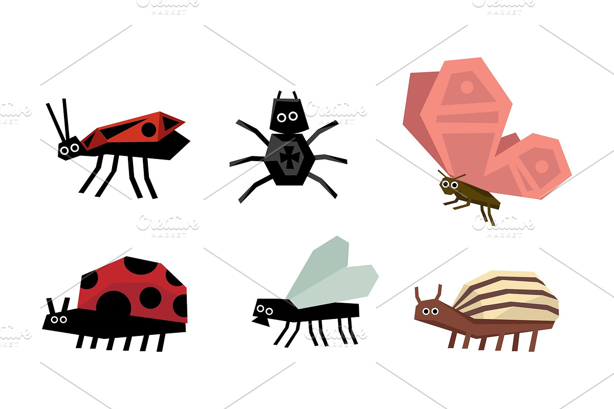 Geometric insects set, spider, bug in Illustrations - product preview 8