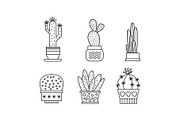 Collection of cactuses and