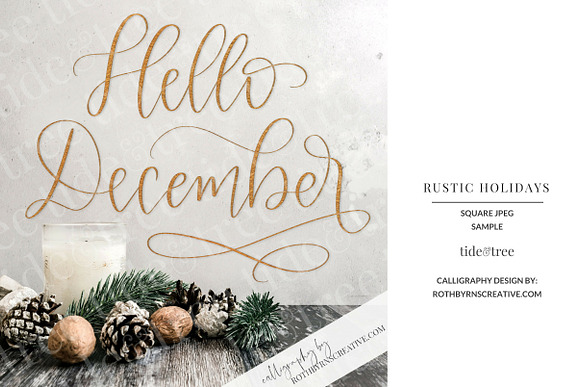 Rustic Holidays Set in Social Media Templates - product preview 15