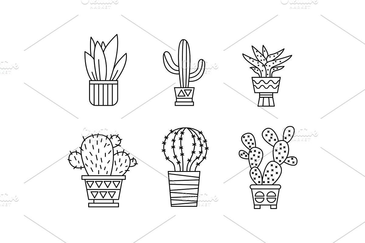Collection of cactuses and in Illustrations - product preview 8