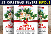 18 Winter & Christmas Flyers Bundle