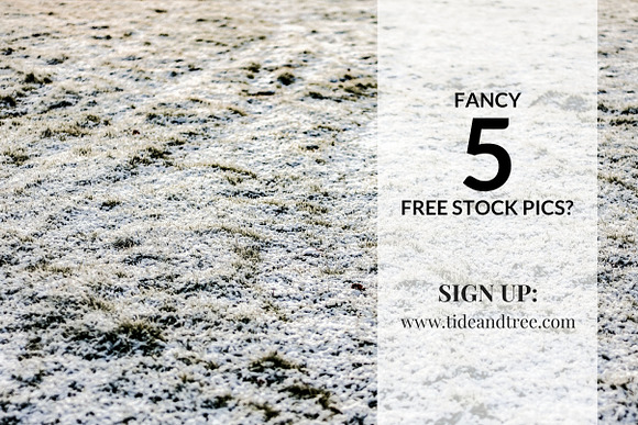Frosted Foliage | Wide No 3 in Textures - product preview 2