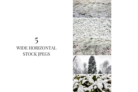 Frosted Foliage Stock Photo Set in Textures - product preview 1