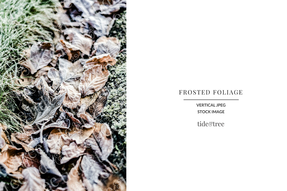 Frosted Foliage | Vertical No 2 in Textures - product preview 8