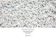 Frosted Foliage | Wide No 1