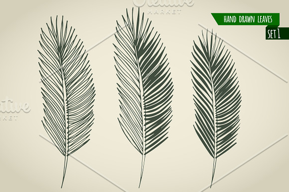 Set of hand drawn palm leaves in Objects - product preview 1