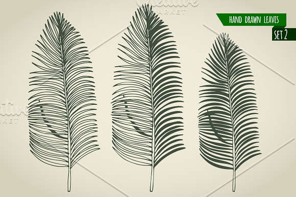 Set of hand drawn palm leaves in Objects - product preview 2