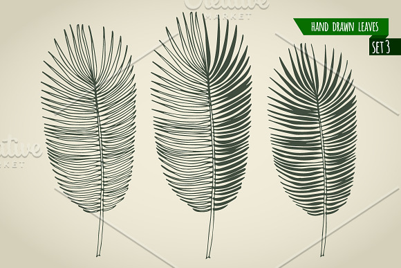 Set of hand drawn palm leaves in Objects - product preview 3