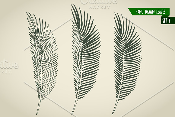 Set of hand drawn palm leaves in Objects - product preview 4