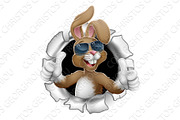 Easter Bunny Thumbs Up Cool Rabbit