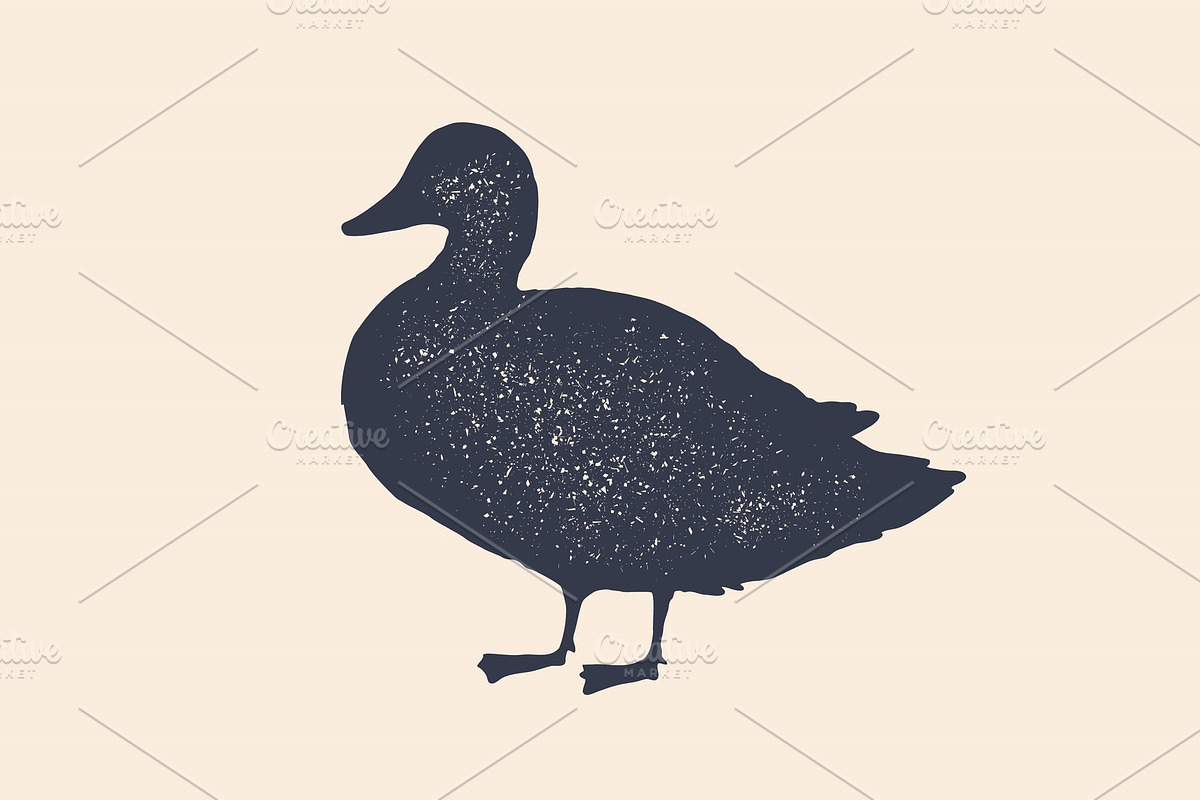 Duck, silhouette. Vintage logo in Illustrations - product preview 8