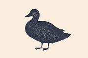Duck, silhouette. Vintage logo