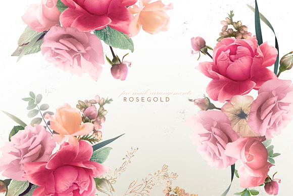 Rosegold Collection in Illustrations - product preview 2