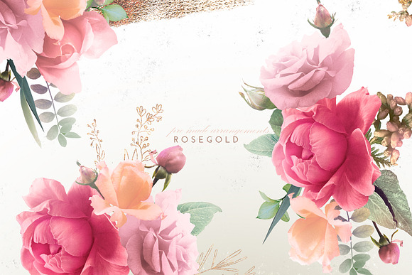 Rosegold Collection in Illustrations - product preview 3