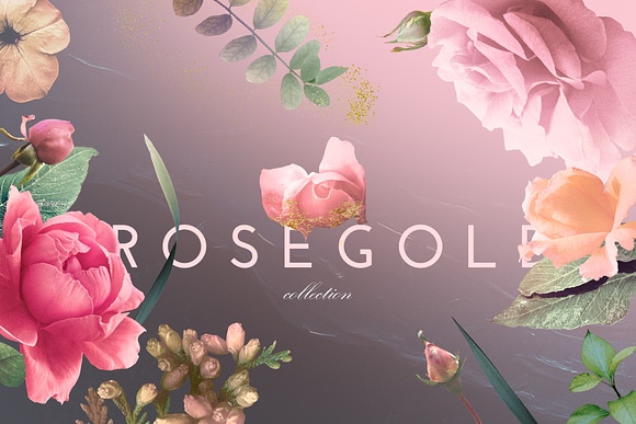 Rosegold Collection in Illustrations - product preview 5