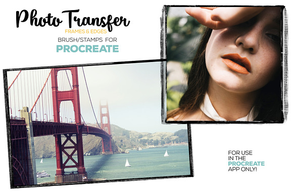 Procreate Photo Transfer Brushes in Add-Ons - product preview 6
