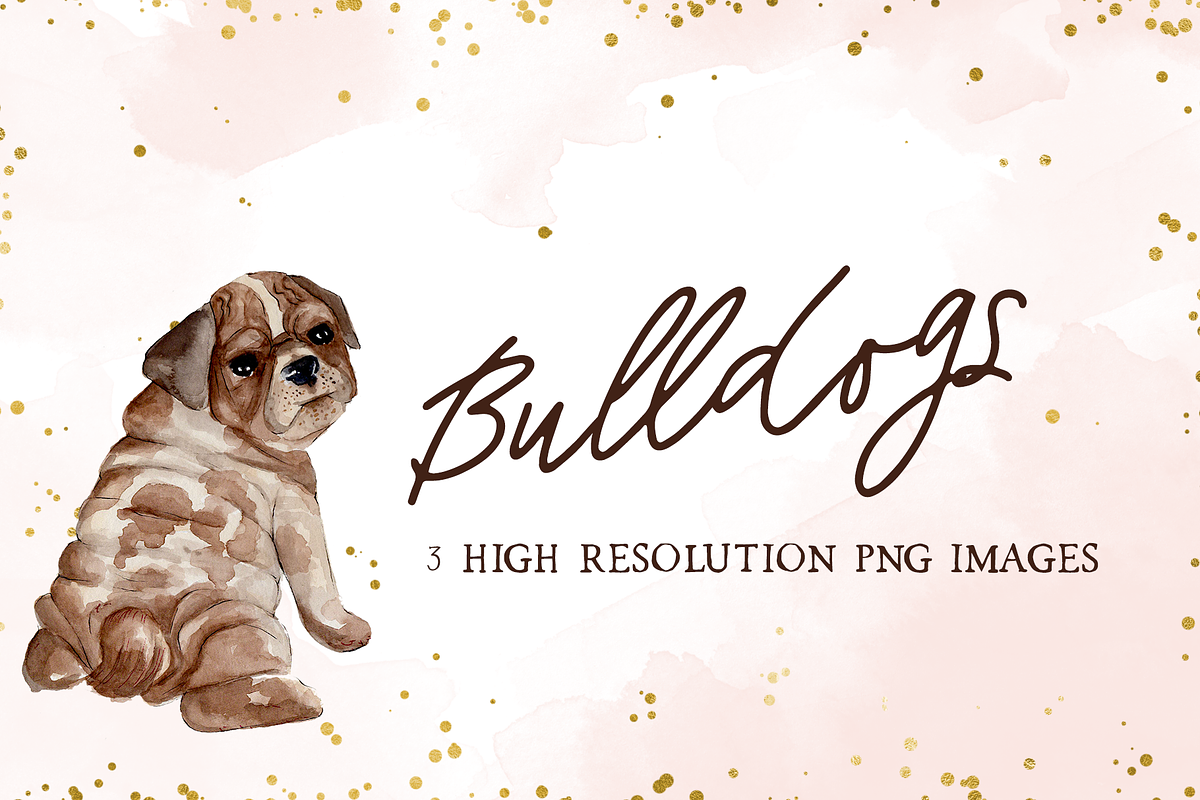 Bulldog Clipart in Graphics - product preview 8