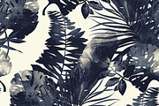 monochrome tropics | JPEG
