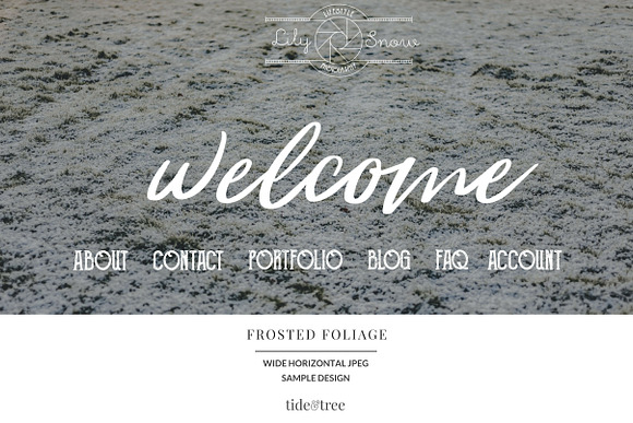 Frosted Foliage Stock Photo Set in Textures - product preview 7