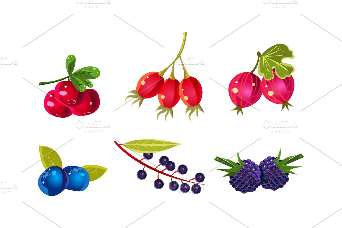Fresh ripe berries set, cranberry in Illustrations - product preview 8